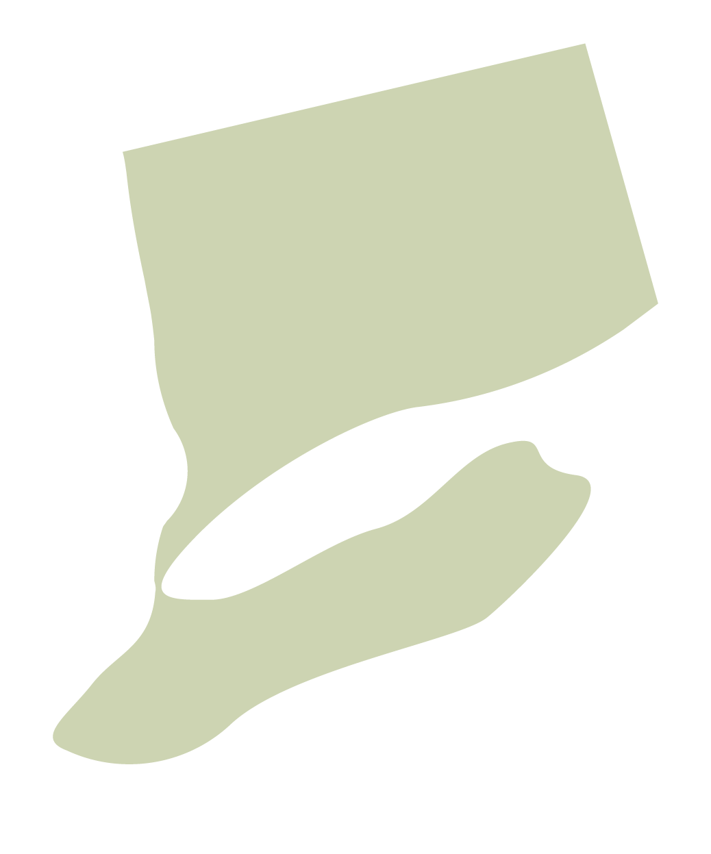 graphic of the state of Ohio